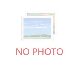 哈氏高溫合金板